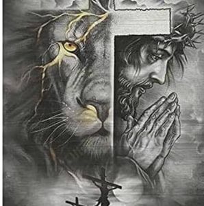 Meet your Posher, Sheena